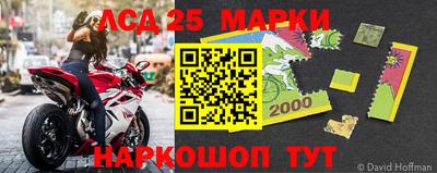 индика Ярославль