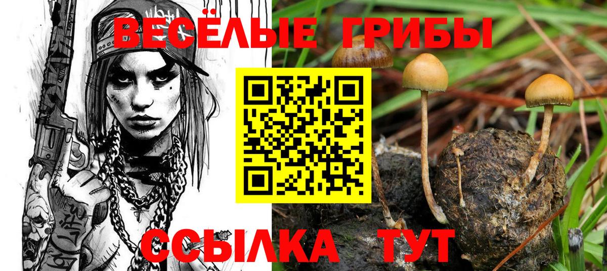 Псилоцибиновые грибы Cubensis  Псилоцибиновые грибы мицелий  Вход с VPN  Белая Калитва 