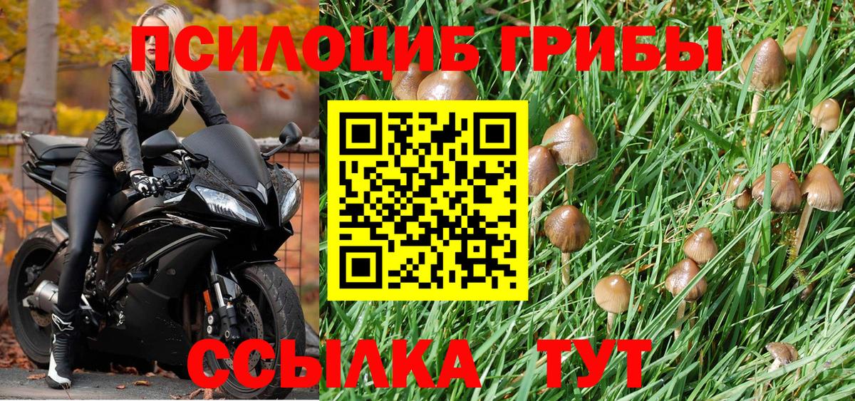 Галлюциногенные грибы MAGIC MUSHROOMS Белая Калитва